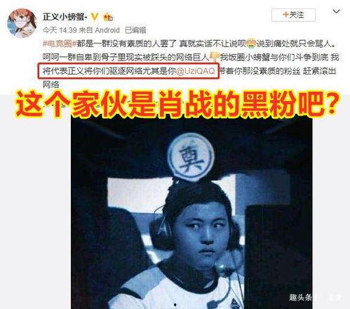 吃瓜看戏苏玛丽,吃瓜看戏，揭秘娱乐圈幕后风云