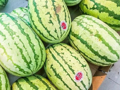 只吃中间的瓜,揭秘只吃中间瓜的奇妙食趣