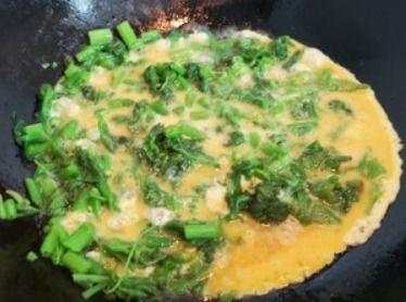 囊瓜头咋吃,解锁独特口感与营养的烹饪秘诀