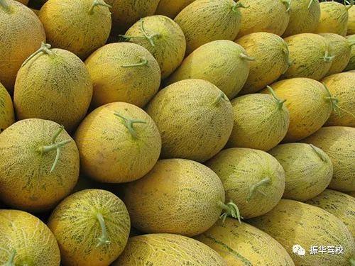 吃个鸡肉吃哈密瓜,探寻美味碰撞的饮食新风尚