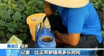 吃瓜群众卖红薯,甜蜜事业，温暖人心