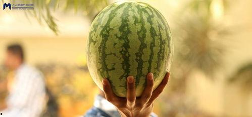 最新吃瓜的事件,神秘恋情曝光，明星夫妻疑分手