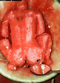 吃瓜群众图片gif