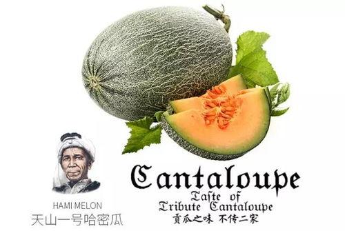 吃茶比吃瓜强,吃茶胜过吃瓜的生活艺术