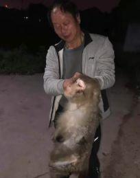 河南吃瓜小伙视频,这瓜太甜了！