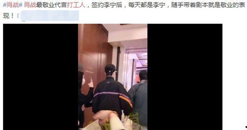 吃瓜碰瓷肖战,揭秘肖战事件背后真相