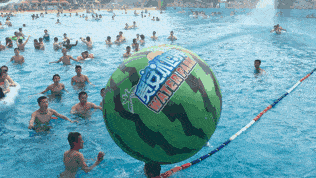 冲浪吃瓜图片,夏日海滩的欢乐时光