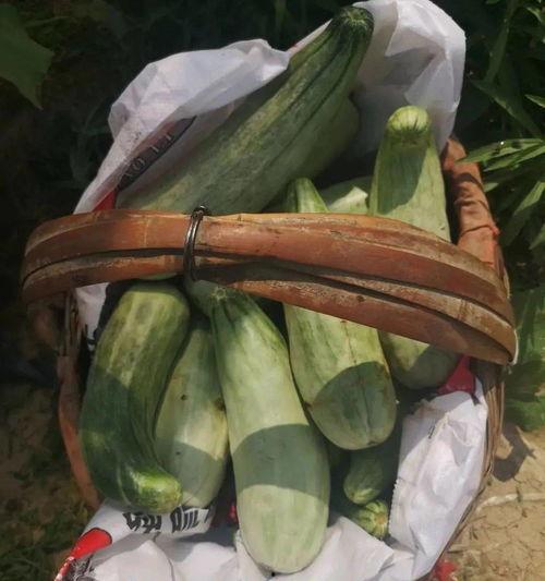 吵架吃瓜带货,揭秘网络红人营销新策略