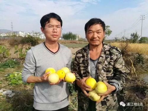 吃瓜群众气质,围观时代的独特气质