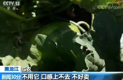 吃瓜打界,揭秘娱乐圈背后的真实故事