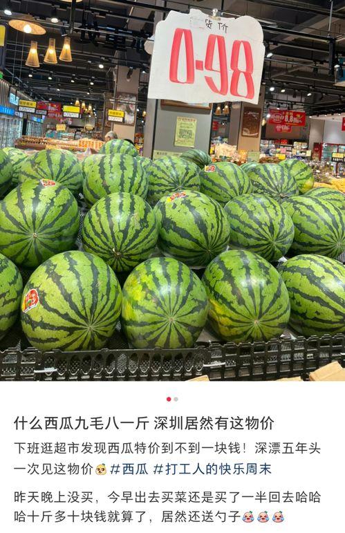 海思东莞吃瓜,揭秘科技巨头背后的职场风云