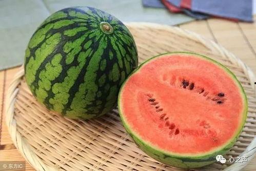 真的不能随便吃瓜