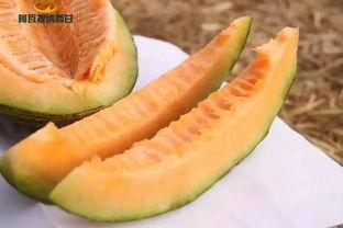 小福吃瓜,揭秘娱乐圈那些不为人知的幕后故事