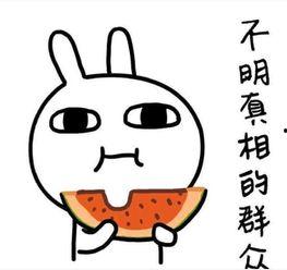 吃瓜古语,揭秘古人吃瓜的趣味与哲理