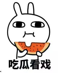 网友吃瓜沙雕动画