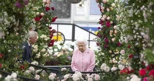 花展吃瓜,品味瓜果飘香时光