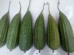 感谢老板吃瓜,我们一起来吃