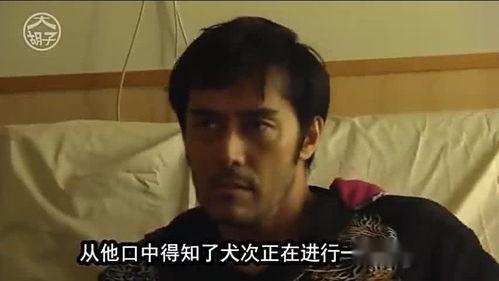 大叔吃白瓜视频